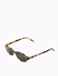 Torti_Front