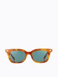 Vinny_OrangeTorti_front