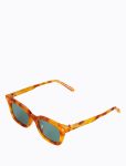 Vinny_OrangeTorti_front