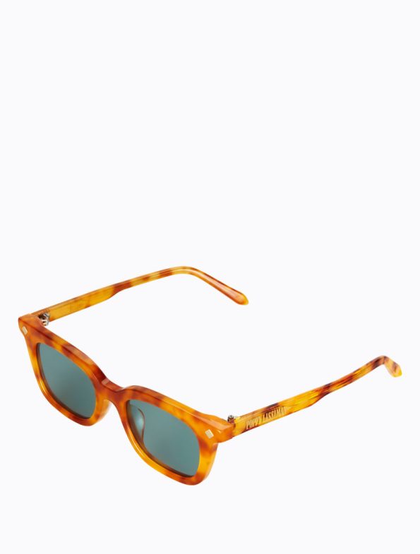 Vinny_OrangeTorti_side