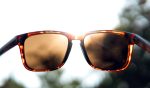 Ziggy_16186_Feature